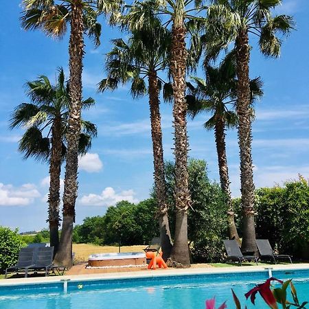 La Villa Mediterranee Wellness Spa Piscine Saint-Drezery Dış mekan fotoğraf