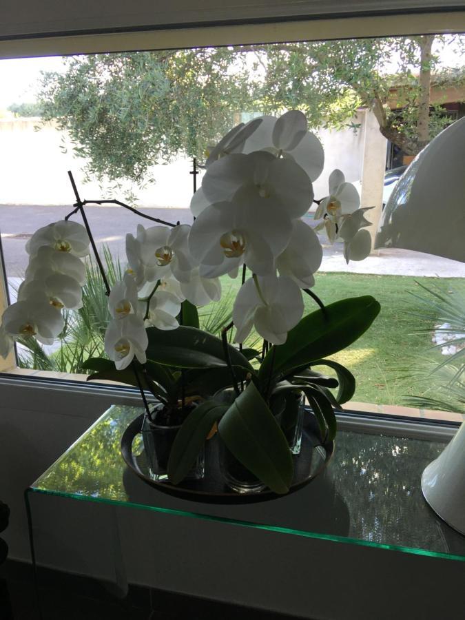 La Villa Mediterranee Wellness Spa Piscine Saint-Drezery Dış mekan fotoğraf